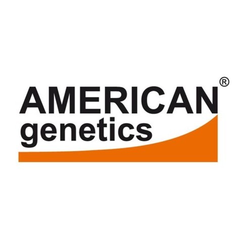 American Genetics